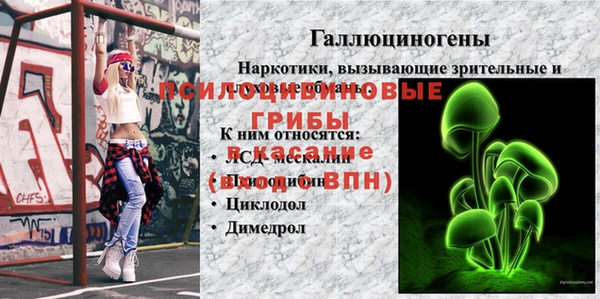 apvp Белокуриха