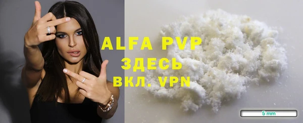 сатива Белоозёрский