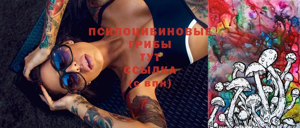 герыч Туринск