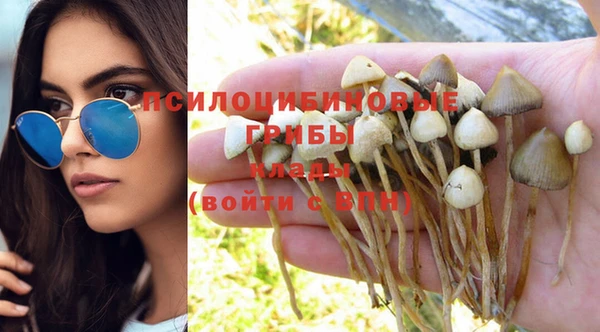 ГАЛЛЮЦИНОГЕННЫЕ ГРИБЫ Богородицк