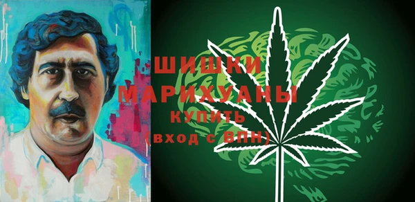 apvp Богданович