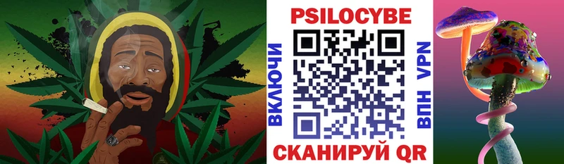 Псилоцибиновые грибы MAGIC MUSHROOMS  Купить закладки  Бабаево 
